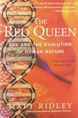 Cover: The Red Queen: Sex and the Evolution of Human Nature