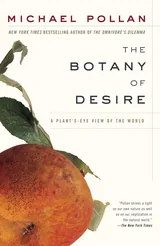 Cover: The Botany of Desire: A Plant’s-Eye View of the World