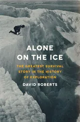 Cover: Alone on the Ice: The Greatest Survival Story in the History of Exploration