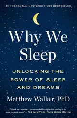 Cover: Why We Sleep: Unlocking the Power of Sleep and Dreams
