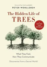 Cover: The Hidden Life of Trees: What They Feel, How They Communicate—Discoveries from a Secret World